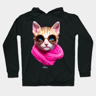 Cat with scarf and glasses Hoodie